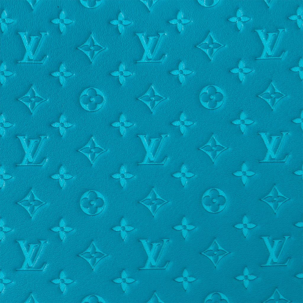 Louis Vuitton Loop Baguette Bag